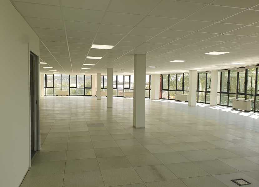 Nave industrial en alquiler en L'Hospitalet de Llobregat