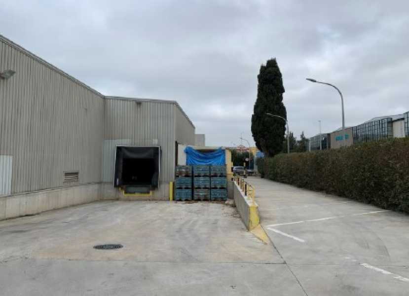 Nave industrial en venta y alquiler en Gavà